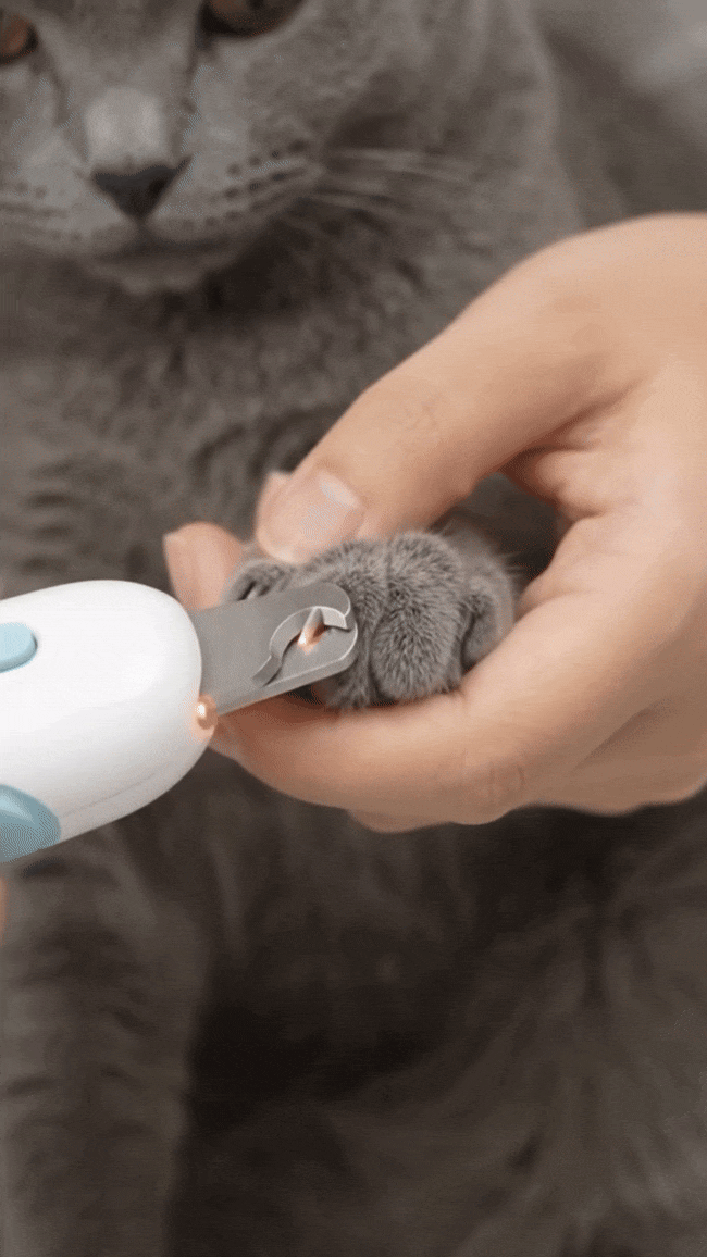 Corta uñas para gatos con Regalo Astralis®
