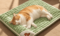 Cama ortopedica para gatos Astralis®